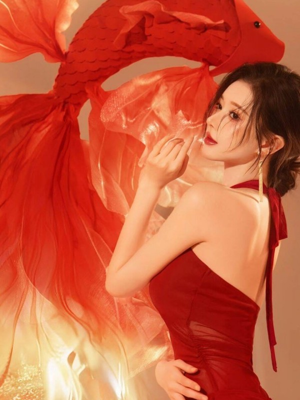 Kırmızı Yeni Yıl Fotoğraf Kost - Photography Lighting For Clothing incelemesi ve fiyatı