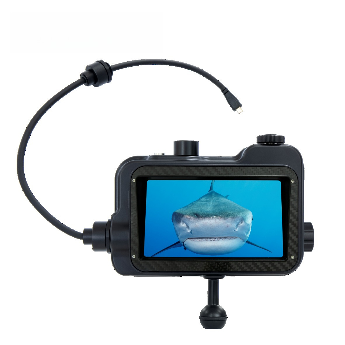 HDR monitör, dalış fotoğrafçıl - Photography Lighting Definition incelemesi ve fiyatı